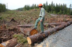 Alaska%20Delegation%20Welcomes%20Agreement%20Launching%20Work%20on%20Alaska%20Roadless%20Rule